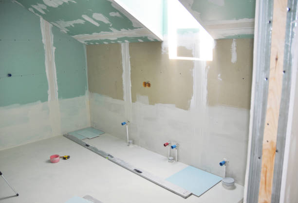 Best Biohazard Mold Removal  in , MO