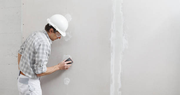 Best Environmental Consulting for Mold Prevention  in , MO