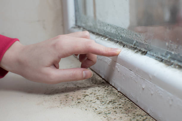 Best Forensic Mold Investigation  in , MO