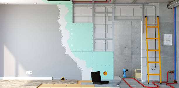 Best Residential Mold Inspection & Testing  in , MO