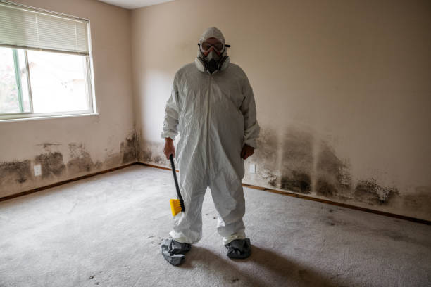 Best HVAC Mold Inspection and Cleaning  in , MO