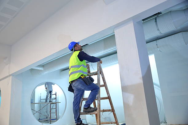 Best Real Estate Mold Inspection  in , MO