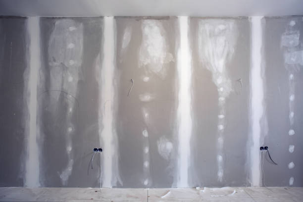  , MO Mold Removal Pros